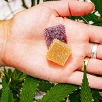 Gummy Goodness The Rise of THCP in Wellness Trends